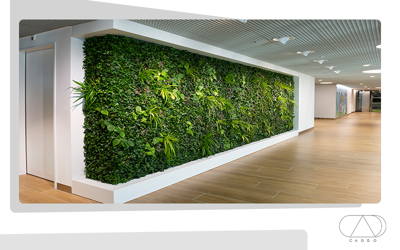 care green wall